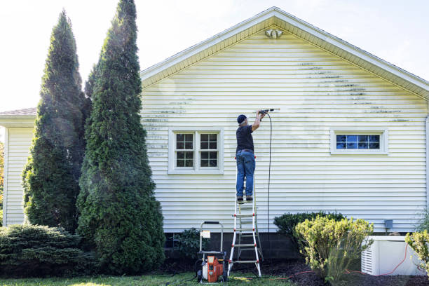 Best Building Exterior Pressure Washing in Locust, NC